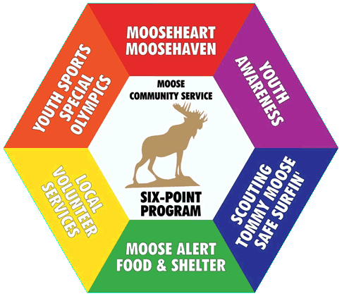 6 Point Program