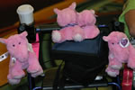 2011Anaheim-WOTMPanels: IMG 9968